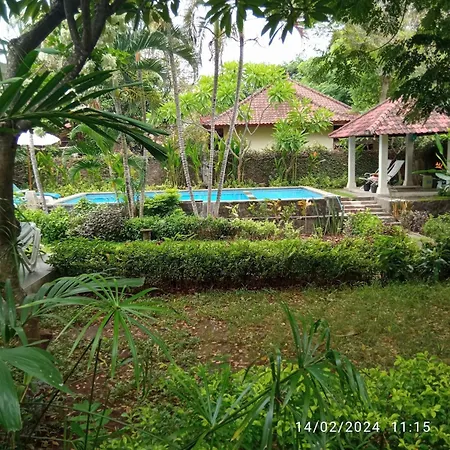 Sarasvati Lovina Villa